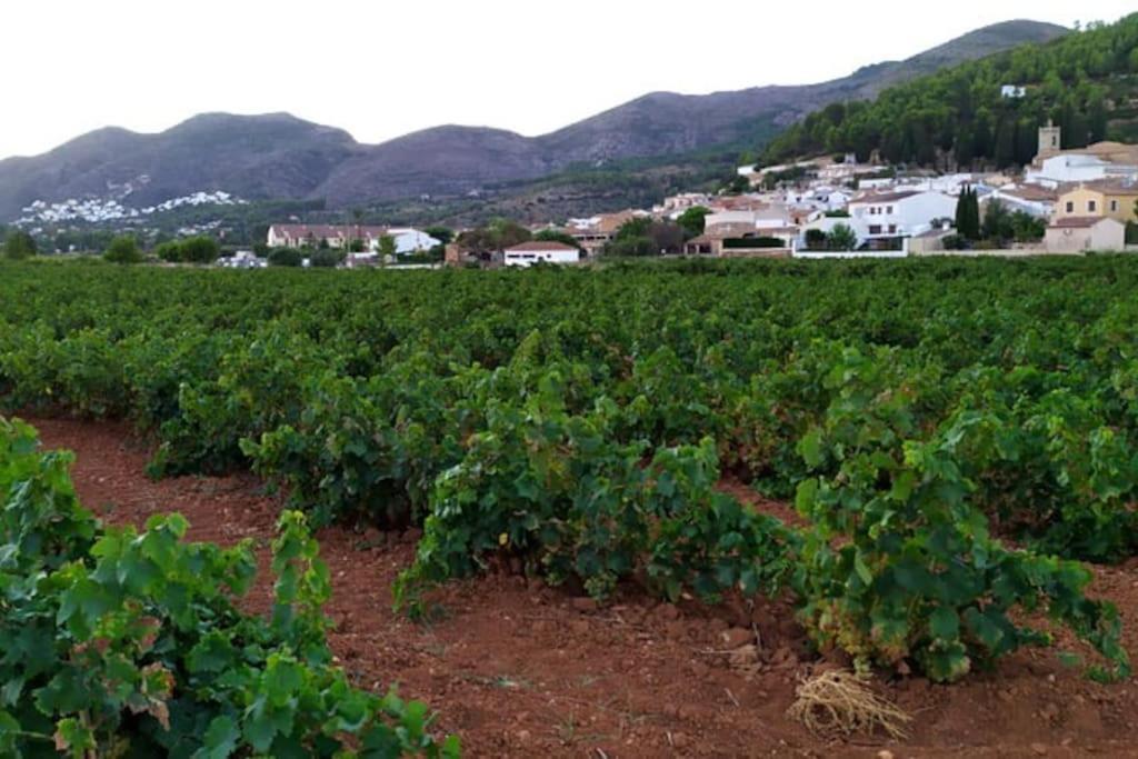 La Calma Apartment Lliber ภายนอก รูปภาพ